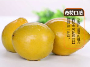 海南雞蛋果（蛋黃果） 應(yīng)季熱帶珍果，孕婦營養(yǎng)佳選