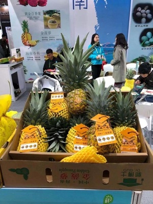 來自最新鮮的跳動——2019新零售生鮮食材展引領新鮮水果零售新風潮