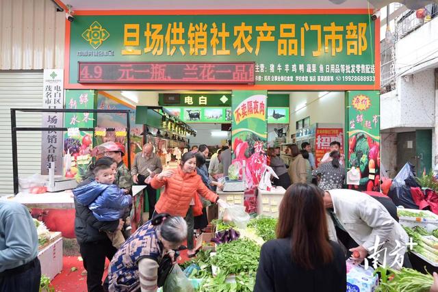 平價新鮮，從田間到餐桌——茂名電白供銷系統打造不隔夜生鮮超市